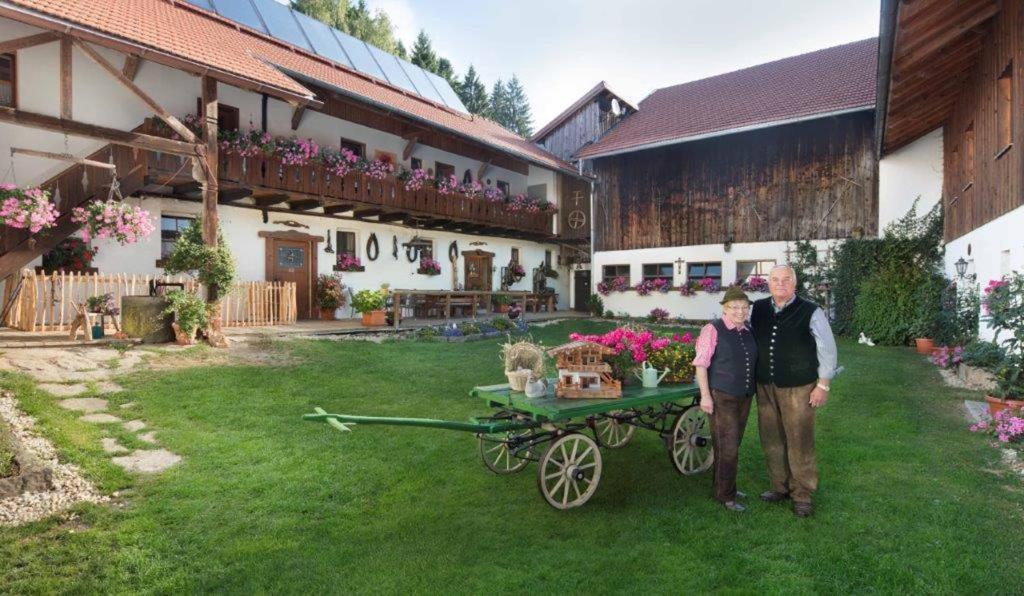 Bayerwald-Ferienhof Schmid photo 1