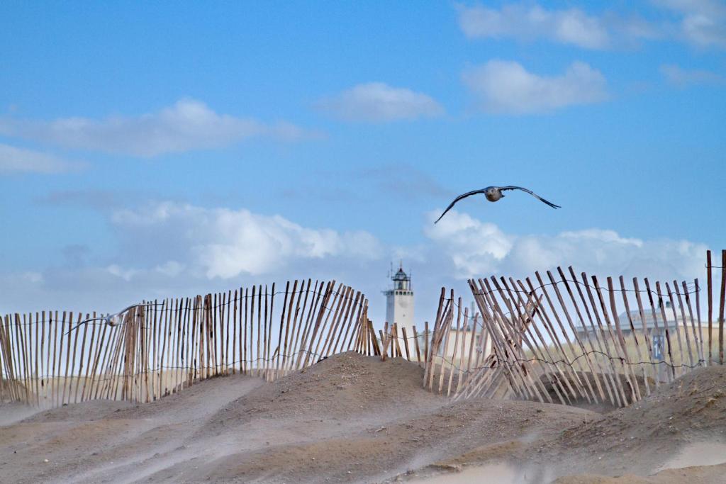 Zee & Zand photo 1
