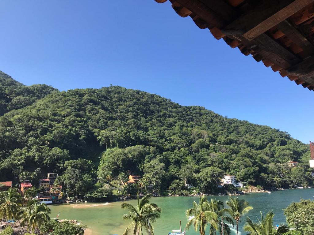 Casa Margarita- escape to nature photo 3