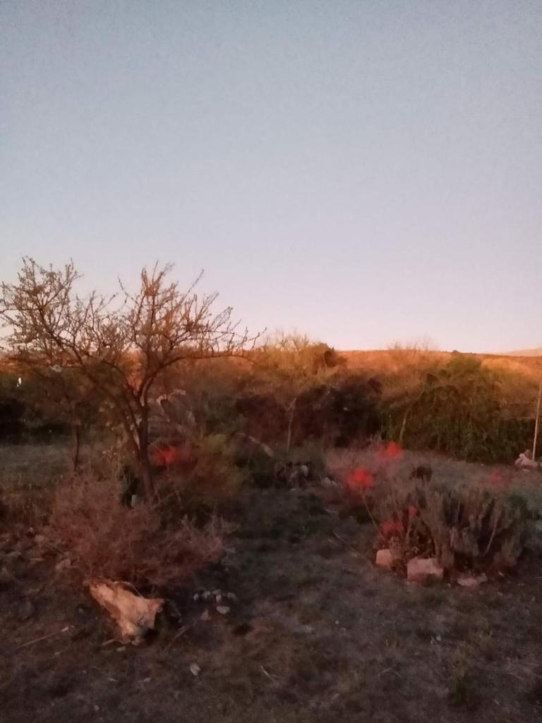 Madrenatura photo 3