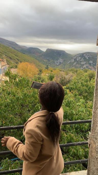 Greolières: Superbe Studio avec vue montagne photo 1