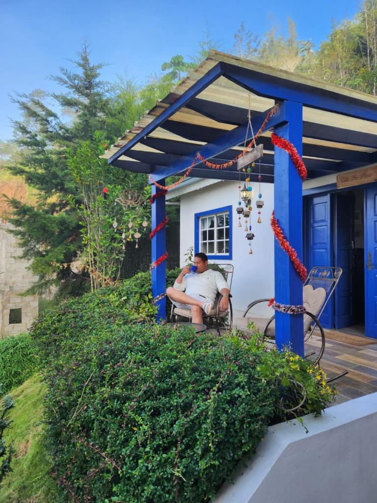 Chalet los Pinos Constanza photo 3