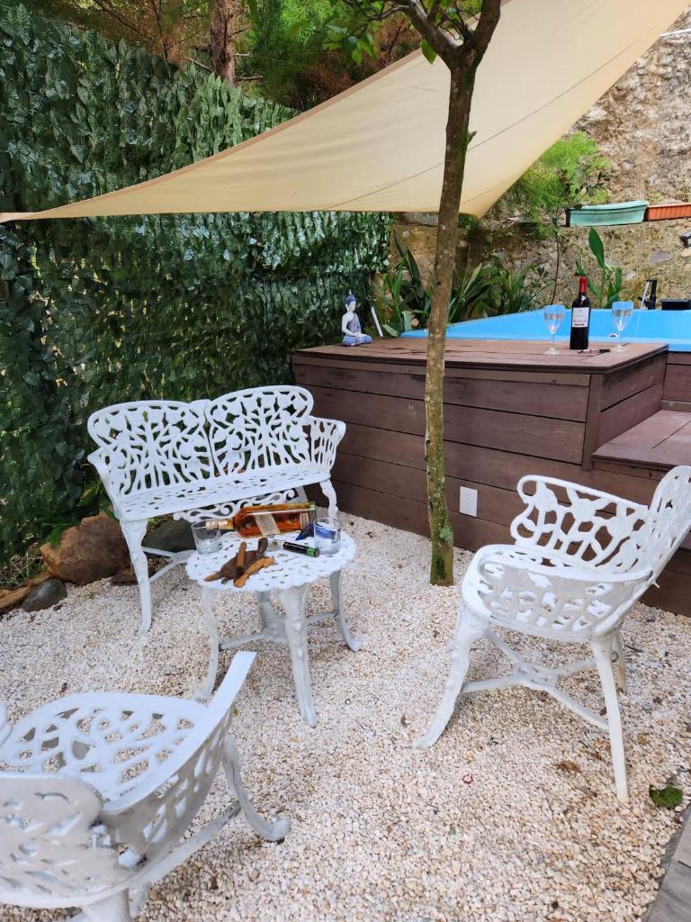 Chalet los Pinos Constanza photo 2
