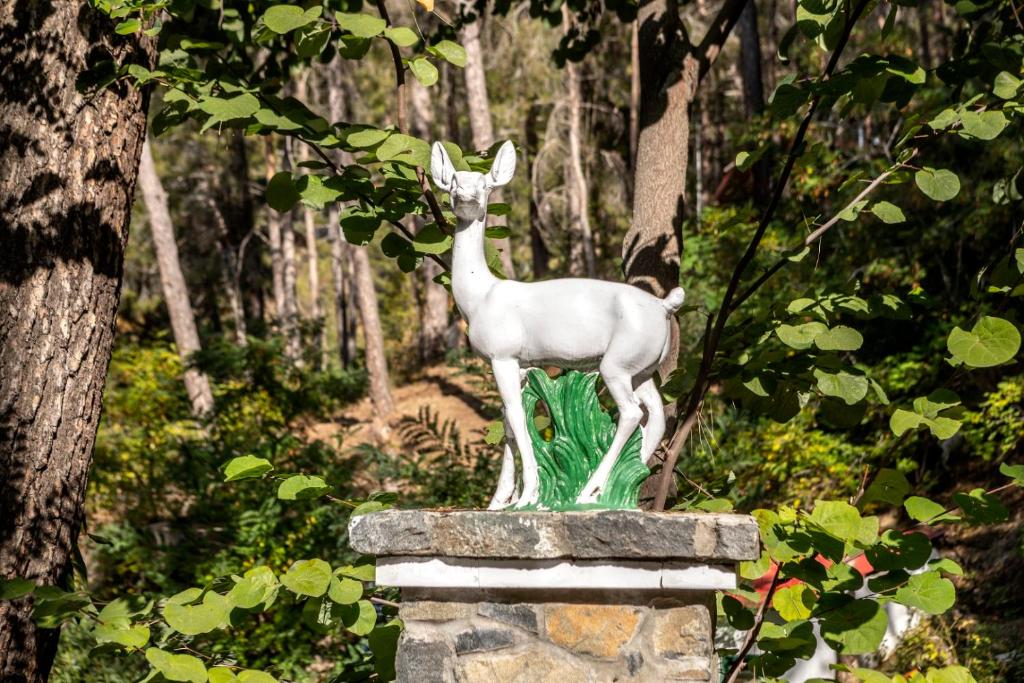Forest Park Hotel photo 1