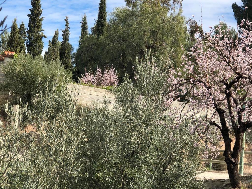 El Huerto de Maravillas photo 1
