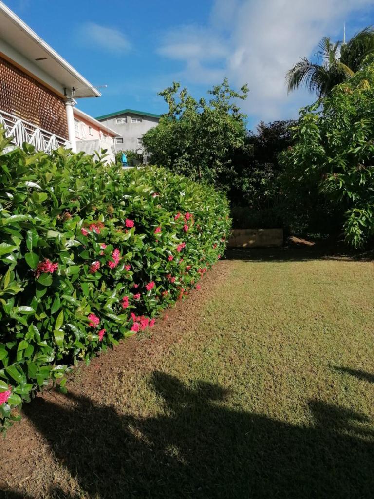 La Villa Davy photo 1