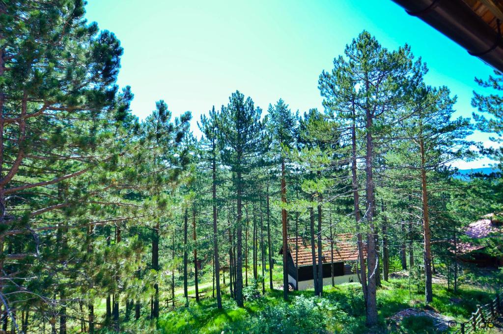 Apartman Sofija photo 4