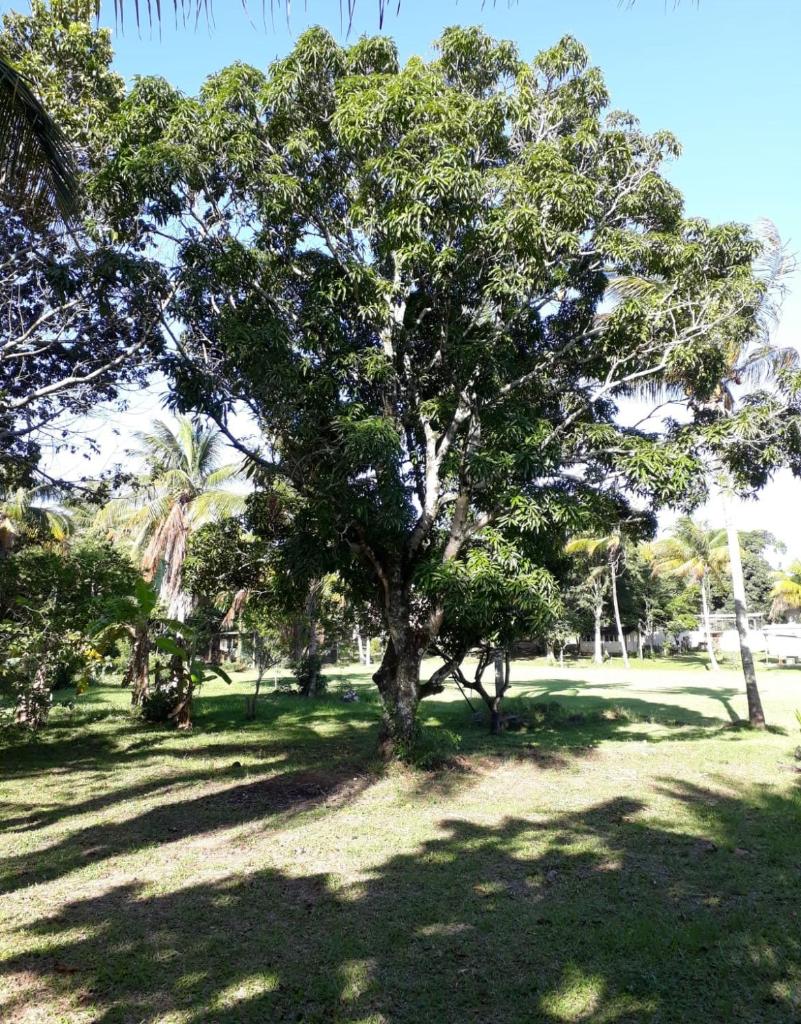 Maravilhoso Recanto Santa Rosa photo 1