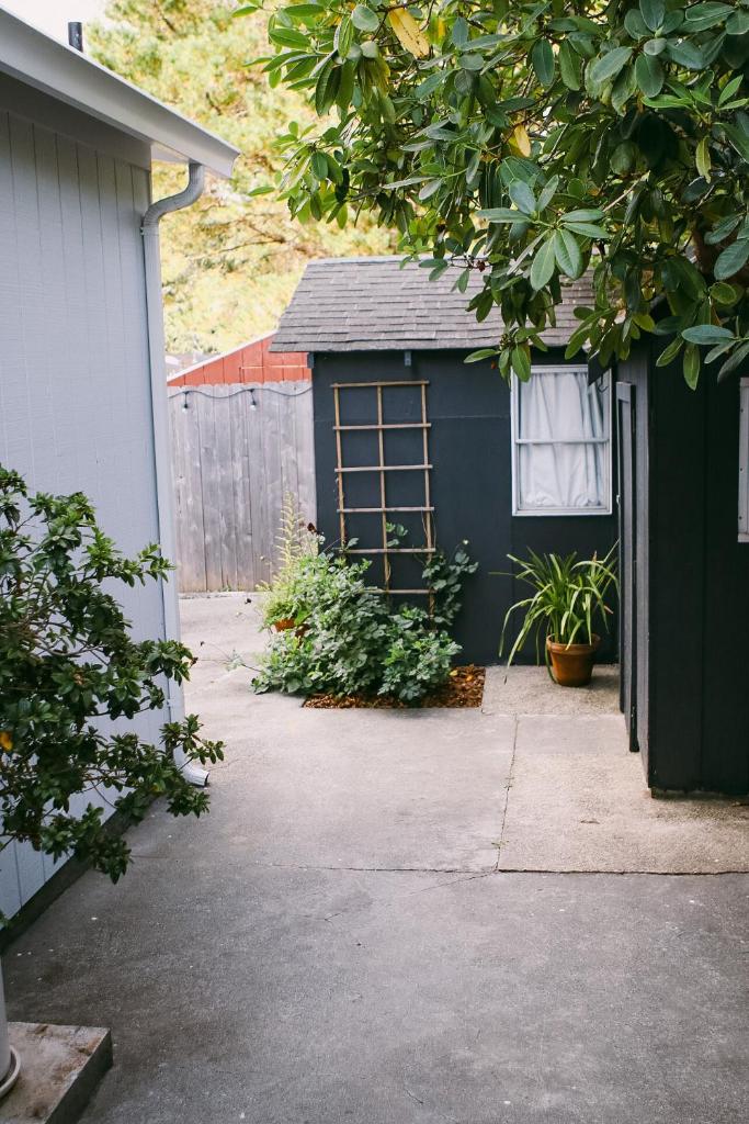 Rock Rose Cottage photo 4