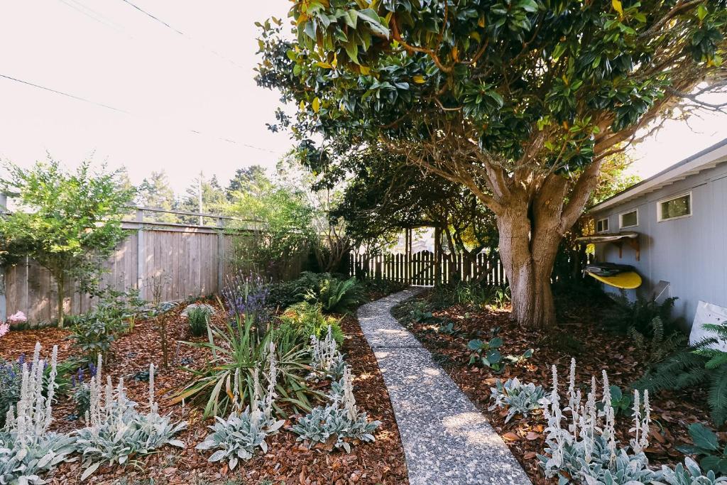 Rock Rose Cottage photo 3