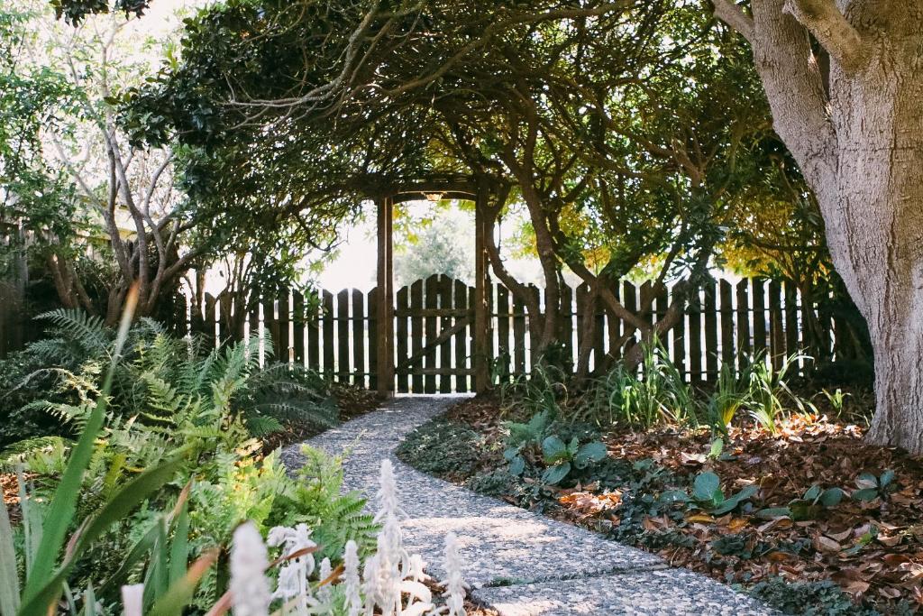 Rock Rose Cottage photo 2