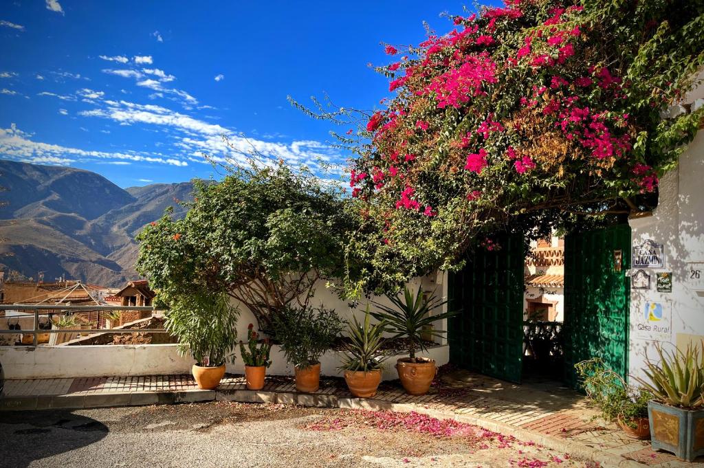Casa Jazmin photo 3