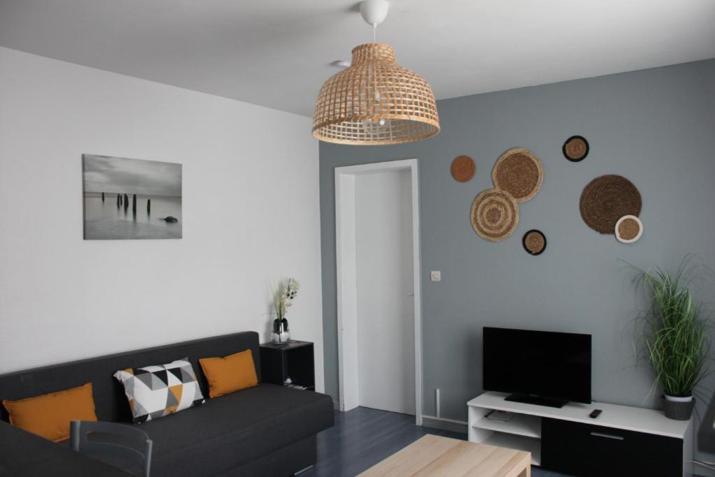 Cosy F2 EuroAirport Basel-Mulhouse photo 1