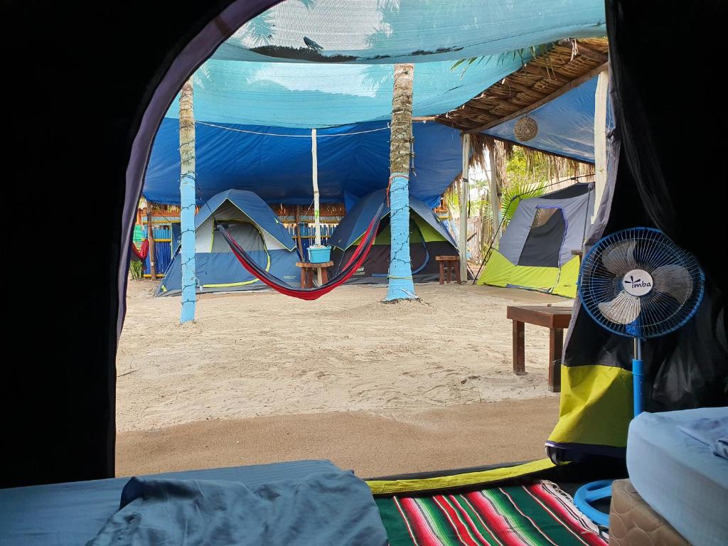 Camping del Ritmo & Kite Club photo 4