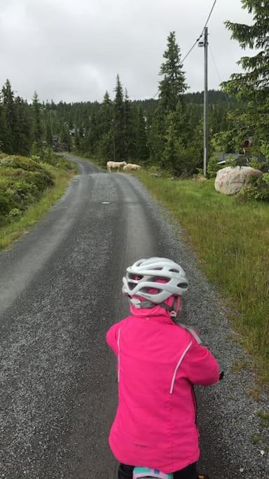 Stor familiehytte på Småsætra, Sjusjøen photo 1