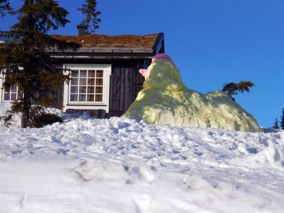 Stor familiehytte på Småsætra, Sjusjøen photo 4