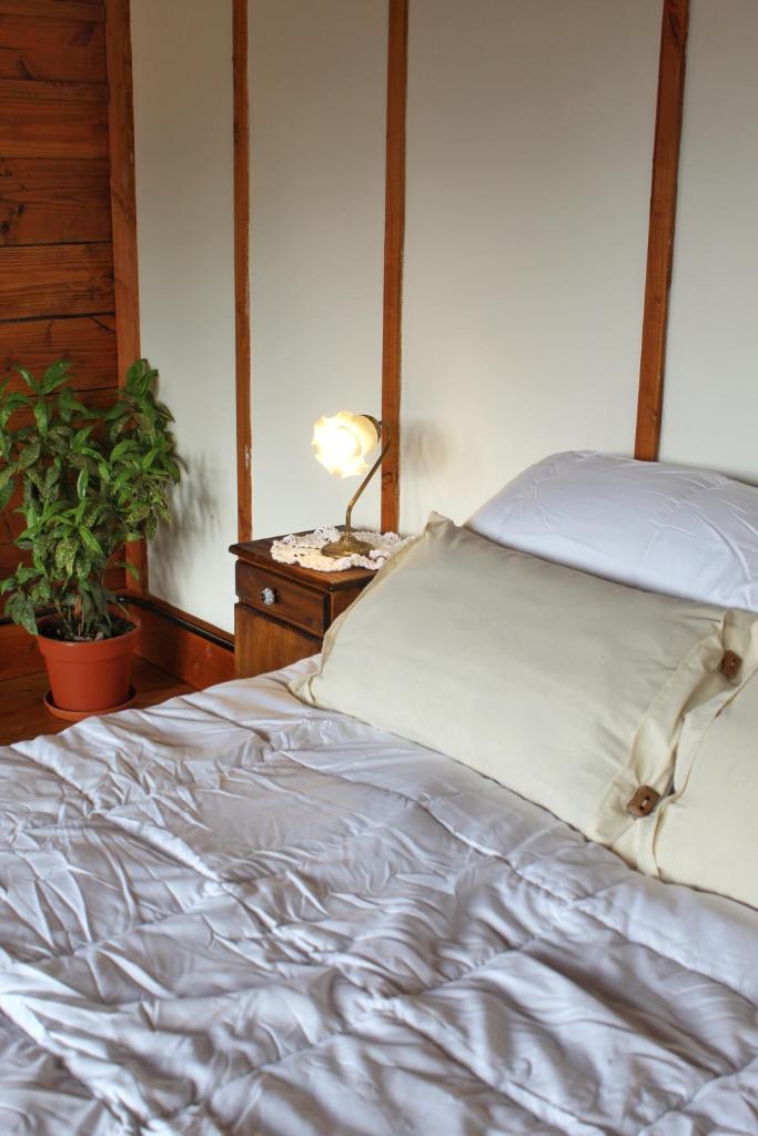 Criollo Lodge photo 3