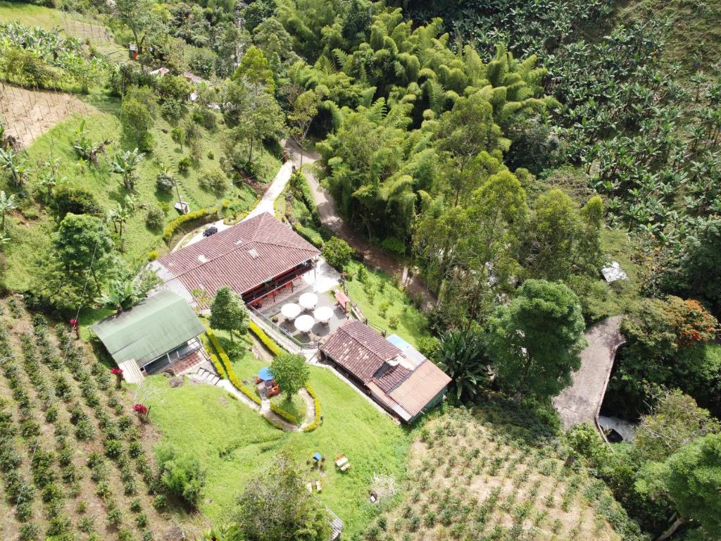 Hotel Orillas del Pizano photo 1