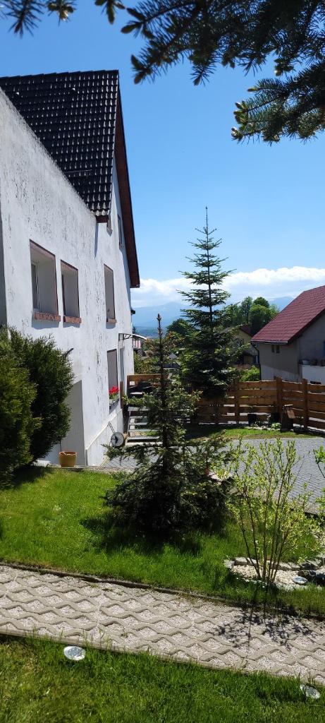 Apartamenty Pod Uwalonym Dębem photo 4