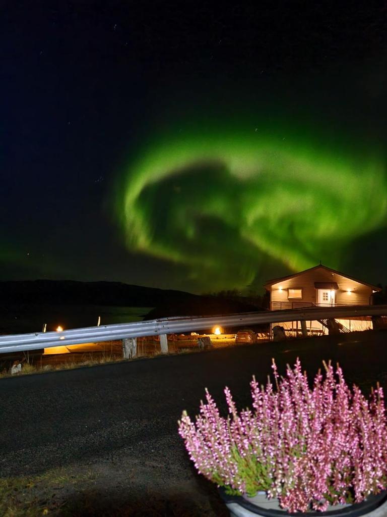 Laukvik Senja photo 3