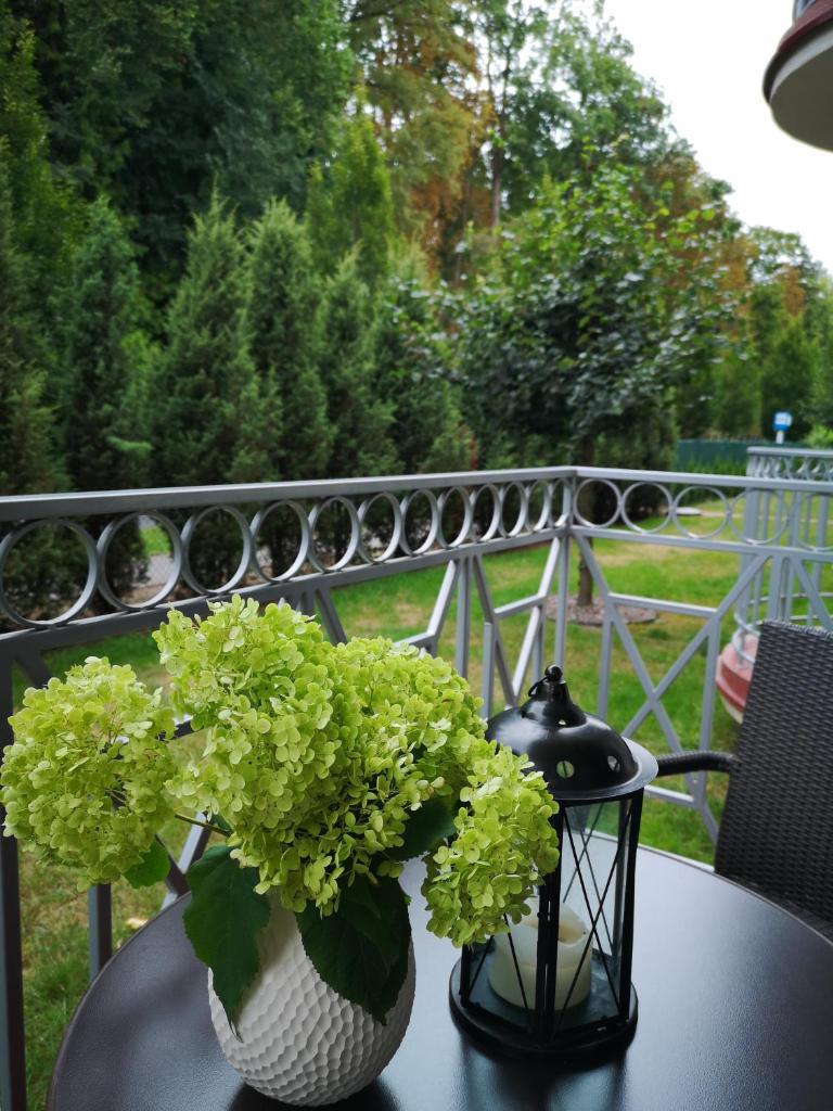 Arboretum Apartments Kórnik photo 4