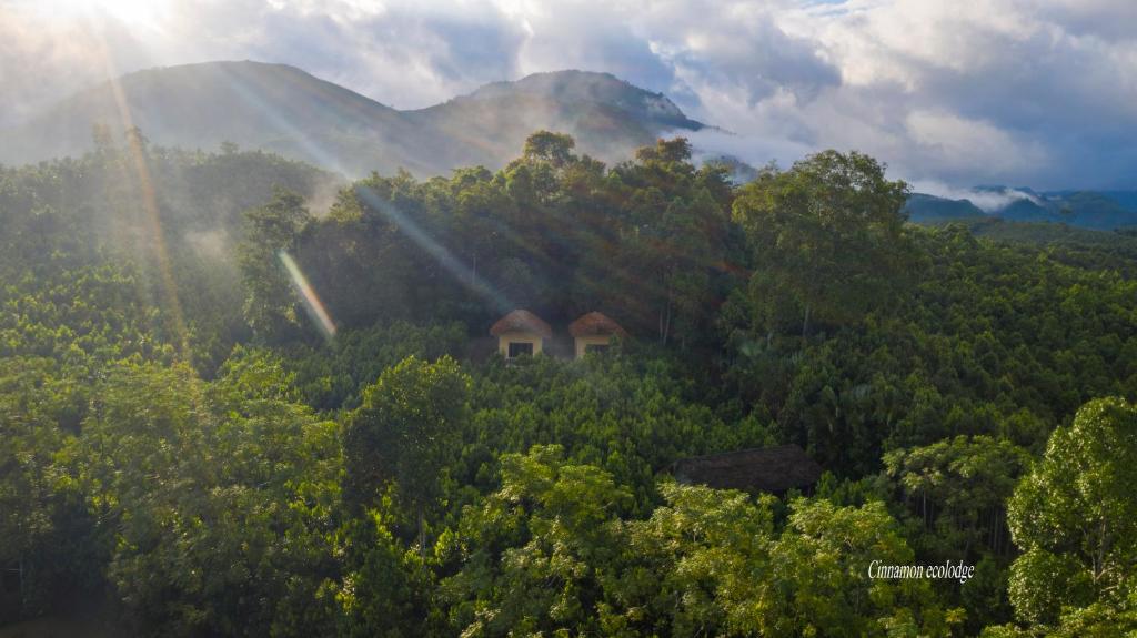 Cinnamon Eco Lodge