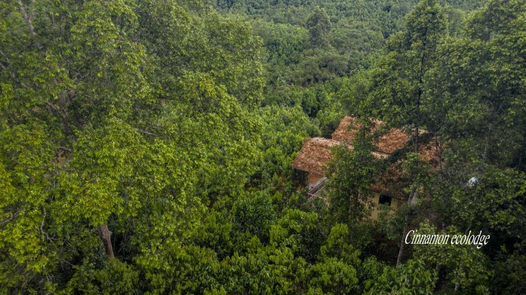 Cinnamon Eco Lodge