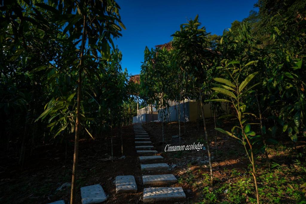 Cinnamon Eco Lodge