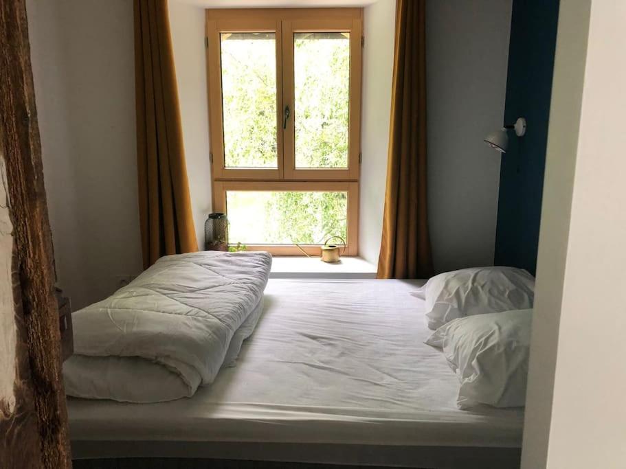 Gîte de 1 à 5 personnes dans la forêt photo 2