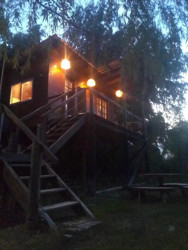 Buenos vientos tigre photo 4
