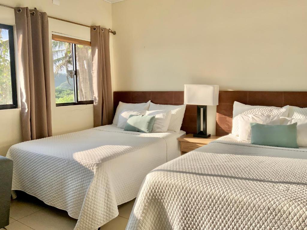 Paradise Surf Hotel photo 1