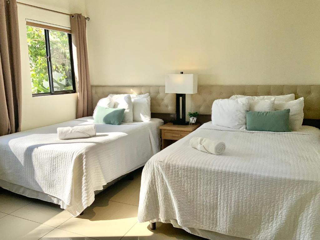 Paradise Surf Hotel photo 2