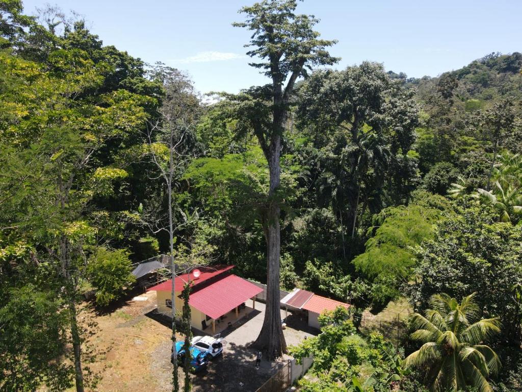 We deh yah Hone Creek