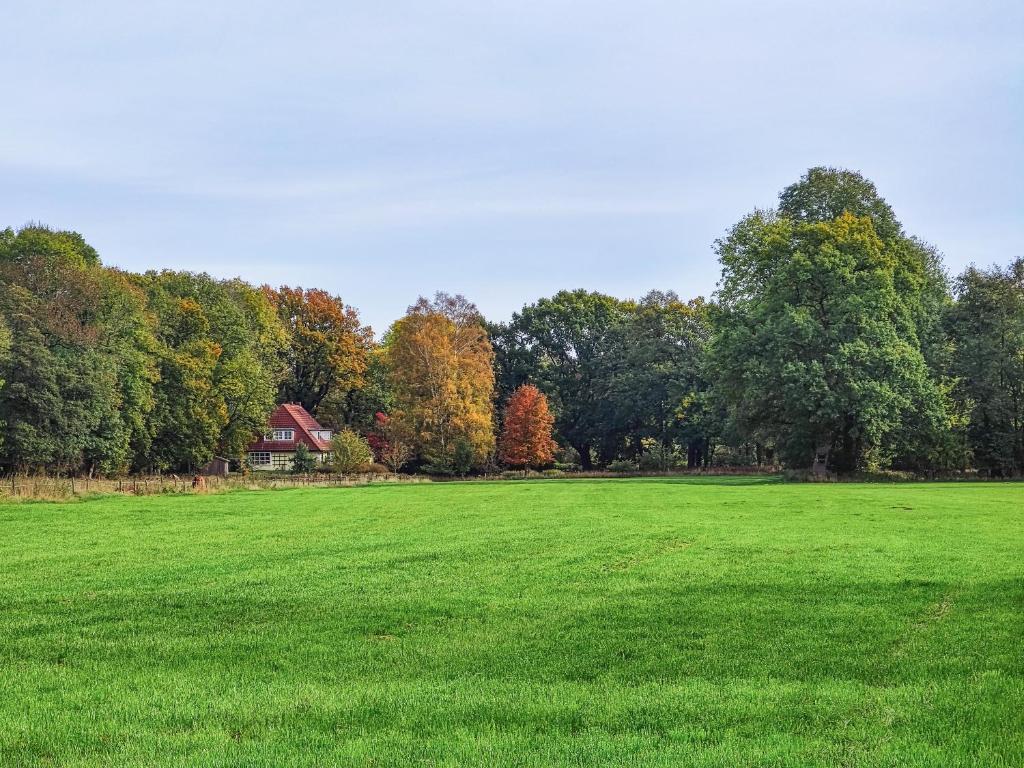 Haus Donata photo 4