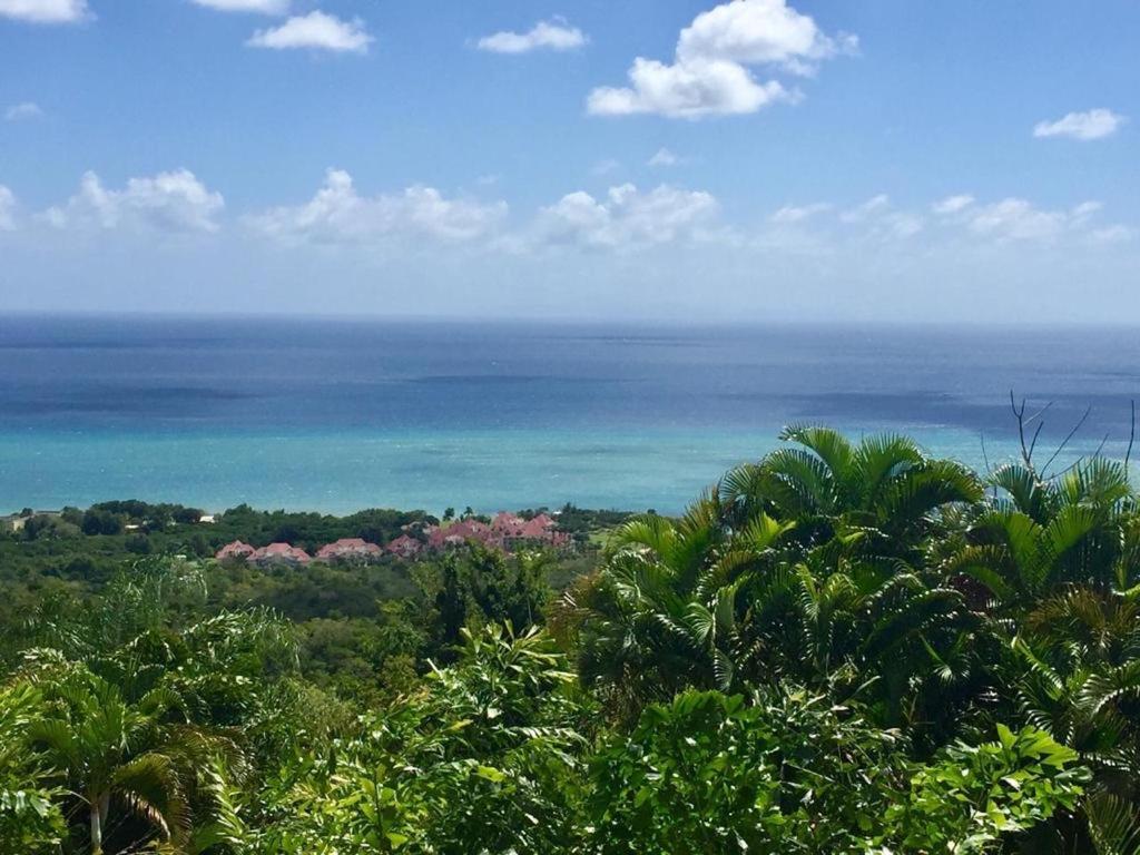 Magnifique Villa Bauhinia, Piscine vue mer photo 2