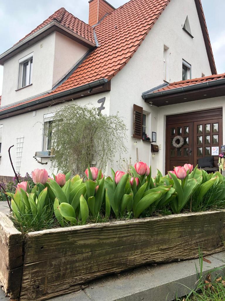 Märchenherberge 7 Zwerge photo 3