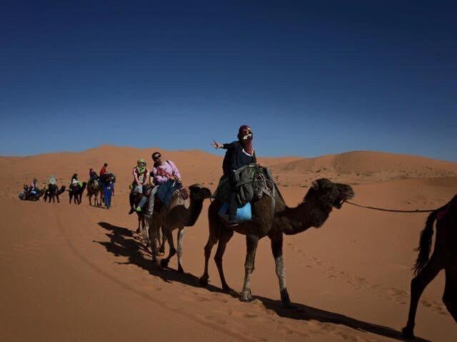 Riad Moha photo 3