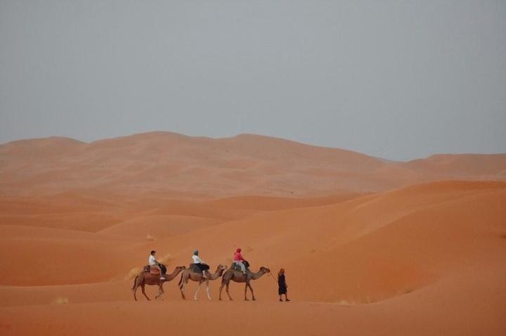 Riad Moha photo 1
