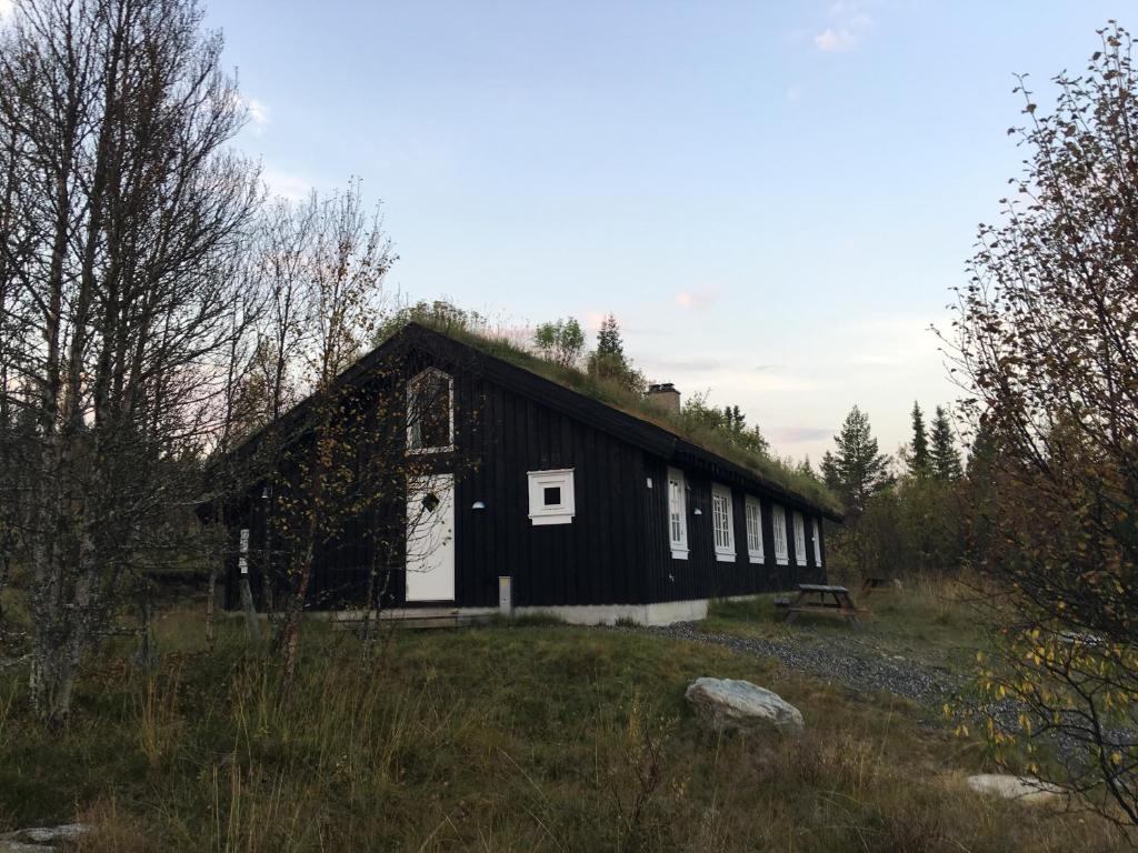 Gålå Fjellhytte - cabin with sauna and whirlpool tub photo 2