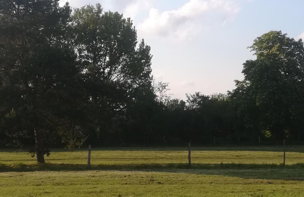 Les prés du petit Morlu - proche Beauval photo 4