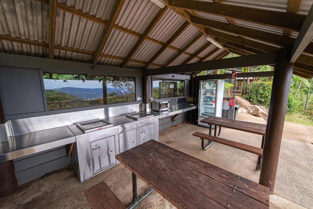Binna Burra Rainforest Campsite photo 4