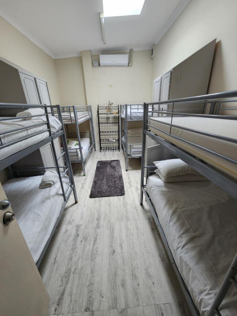 The Entrance Backpackers photo 1