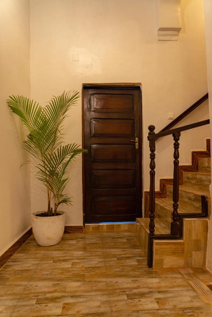 Aurelia Zanzibar photo 1