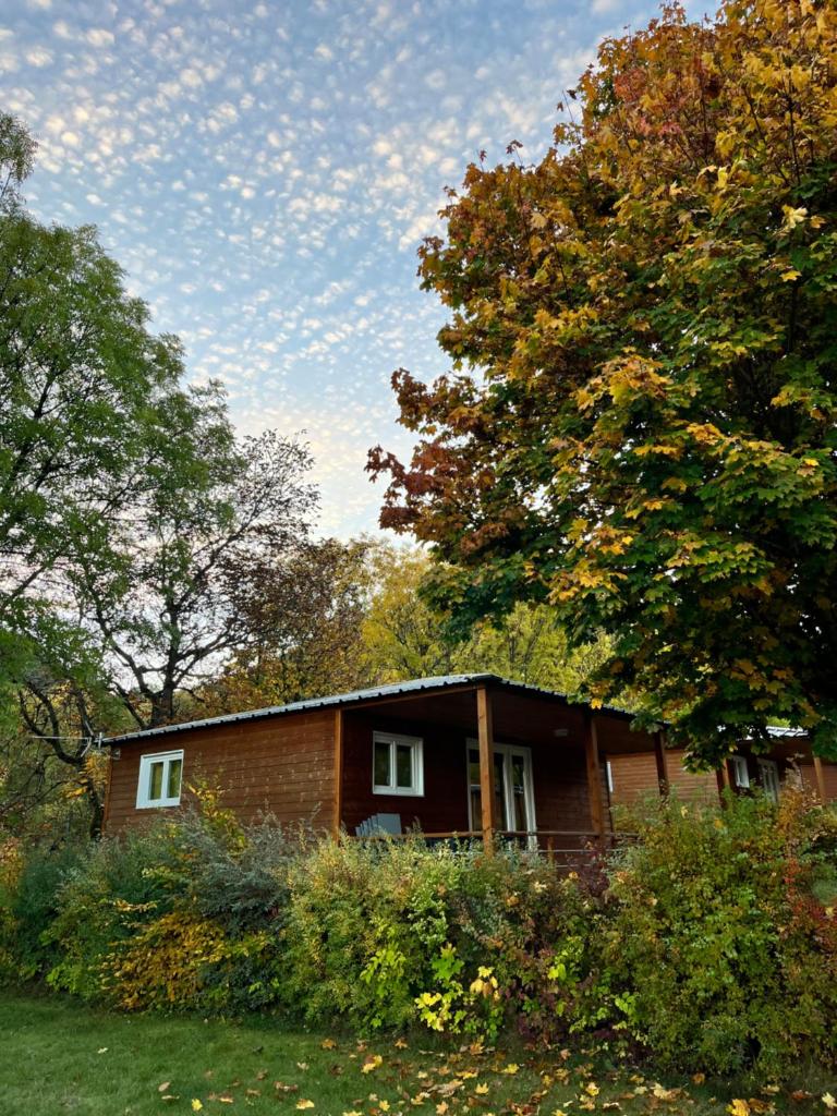 Village de chalets et camping La Pierre de l'Aigle photo 1