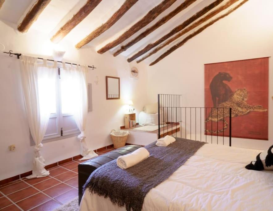 Casa rural con jacuzzi y chimenea en paraje único - La Casa del Pino photo 4
