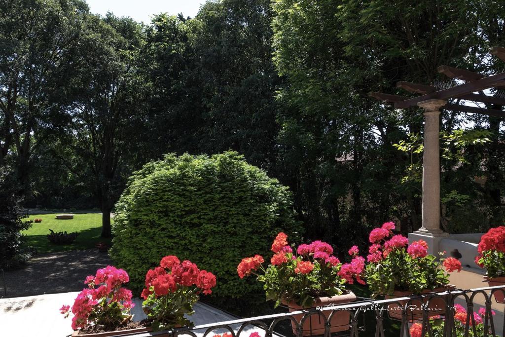Villa Cantoni photo 3