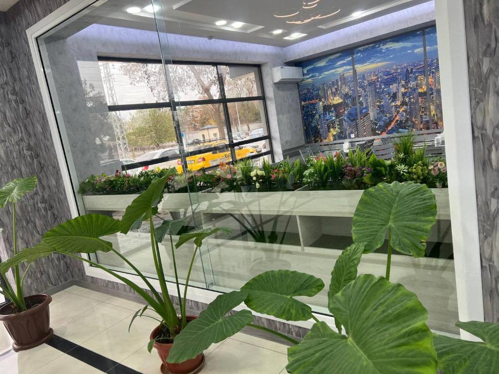 TASHRIF HOTEL photo 4