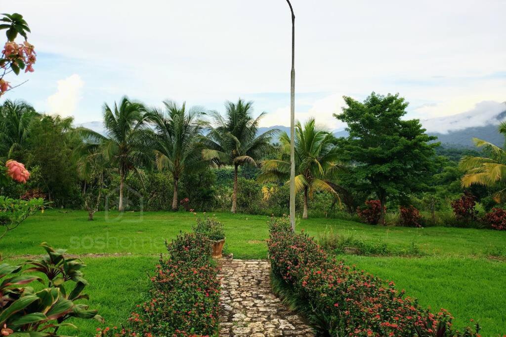 Farmhouse Estate 30mins from Ocho Rios/Kgn photo 3