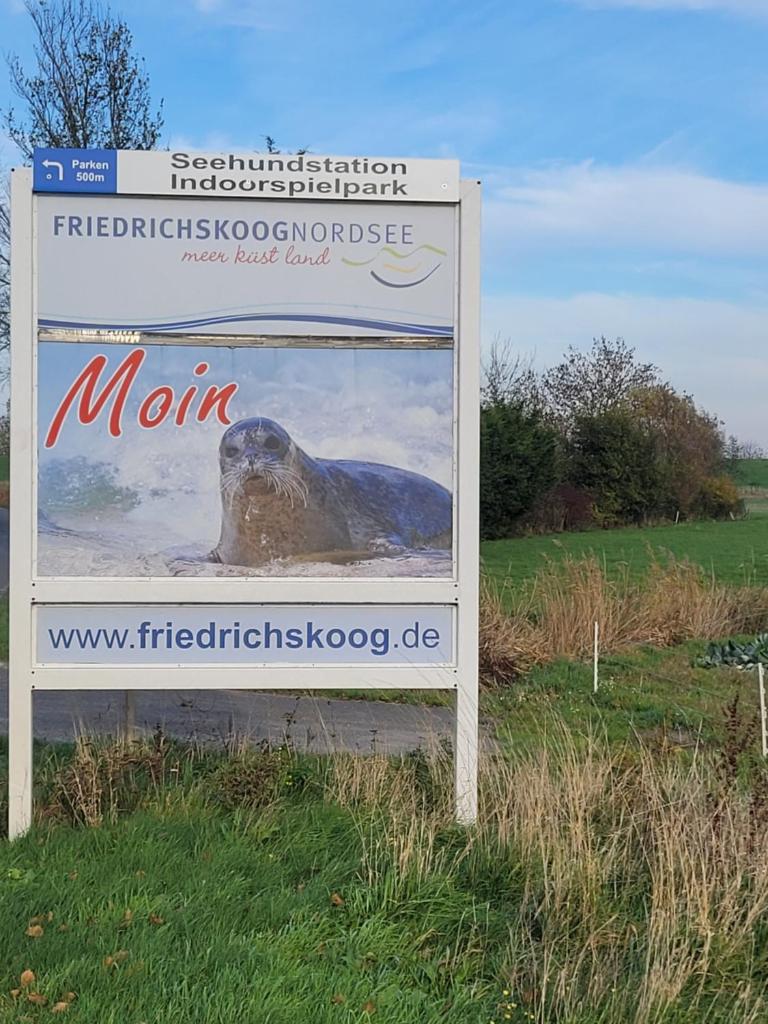 Deichwohnung Strandweg 7 photo 1
