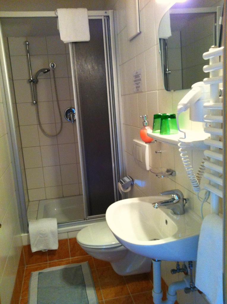 Двухместный (Двухместный номер с 1 кроватью), Hotel Sonnleiten